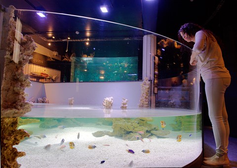 Aquarium-Museum van Luik